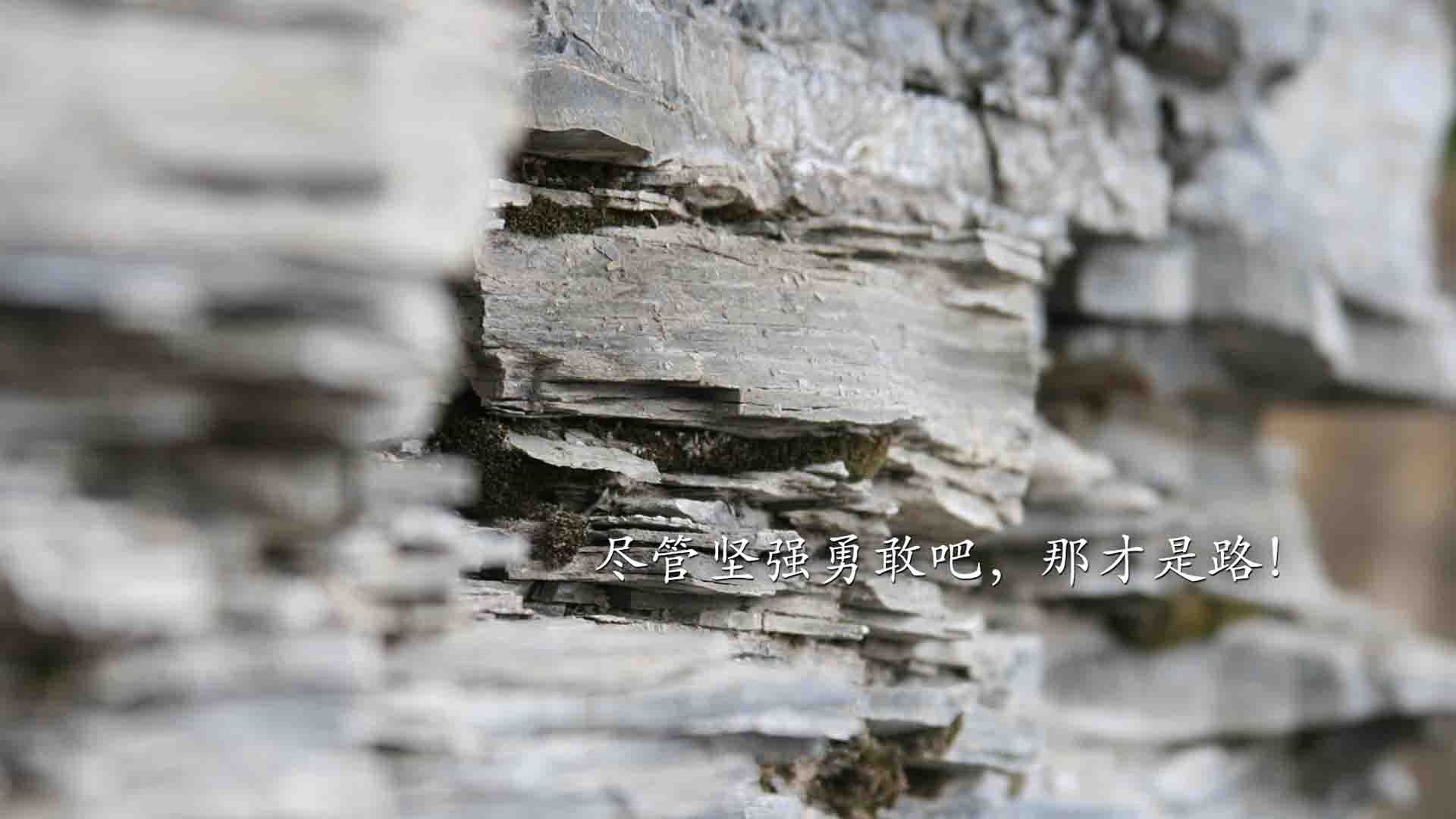 【Judge破纪录】纽约洋基队长单季猛打50+全垒打，纽约洋基队中国官网