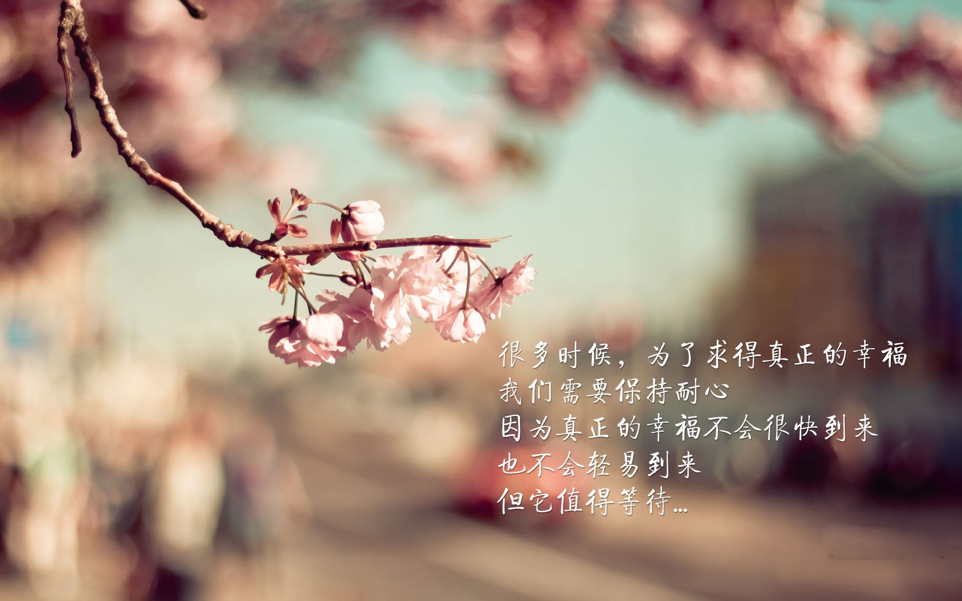 不眠战场：激烈季后赛现场直击，不眠第五集解说