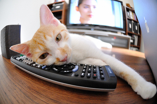 凯尔特人设立“防守之星奖”，鼓励场上专注力，凯尔特球星